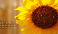 新的一年送给家人的祝福语【图】