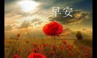 关于发朋友圈早安的句子简单一句话【图】