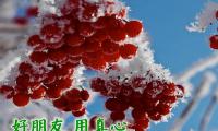 关于冬天早安暖心话【图】