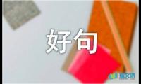 关于《名人传》好句好段摘抄【参考】