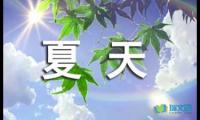 关于夏天的精彩片段摘抄【参考】