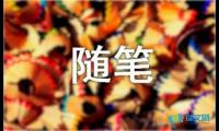 关于心情随笔作文【借鉴】