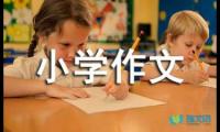 关于小学作文积累好句好段摘抄【参考】