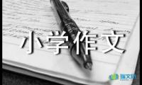 关于小学作文好句好段摘抄【参考】