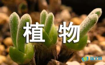 描写植物的句子摘抄