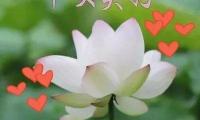 关于发给客户早安正能量简单一句话【图】