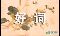 关于好词好句好段摘抄【参考】