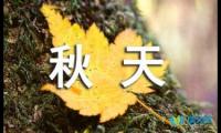 关于描写秋天风景的优美句子摘抄【参考】