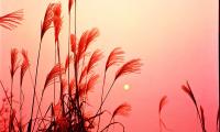 关于微商朋友圈早安正能量激励短语【图】
