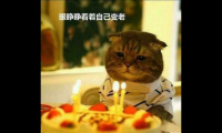 关于生日文案朋友圈搞笑【图】