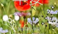 关于给朋友道早安的唯美短句【图】