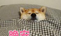 关于给疲惫的自己说晚安一句话【图】