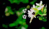 关于2021年早安暖心话简短【图】