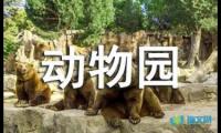 关于动物园随笔作文【借鉴】