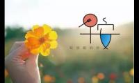 关于和刚认识女孩说早安的话语【图】