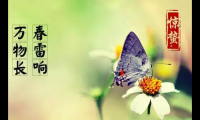 关于有关惊蛰的唯美诗意的句子【图】