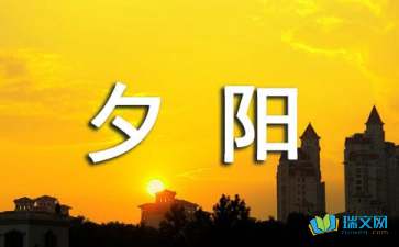 夕阳照在河畔上美文