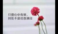 关于对早起人的赞美的句子【图】