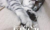 关于心灵鸡汤晚安语录正能量【图】