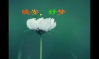 关于问候关心晚安祝福语【图】