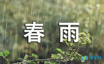 【精选】春二年级春雨作文300字四篇