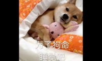 关于2021朋友圈沙雕求偶文案【图】