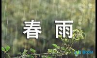 关于春二年级春雨作文300字【借鉴】