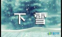 关于下雪了二年级作文【借鉴】