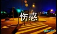 关于伤感的长句子句子摘抄【参考】