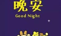 关于祝所有人晚安的暖心话语【图】