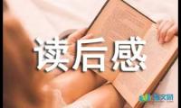 关于唐诗读后感【借鉴】