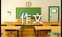 关于小学大年初一作文400字【借鉴】