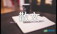 关于我们的那份爱散文随笔【借鉴】