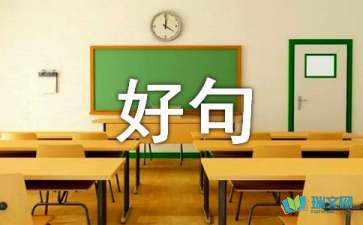 初一好句好段摘抄（精选）