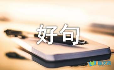 关于描写猫的好句摘抄