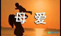 关于静听母爱的回声高三作文【借鉴】