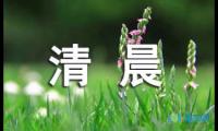 关于描写清晨的阳光的好句子摘抄【参考】