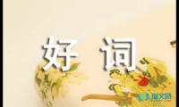 关于好词佳句摘抄【参考】