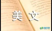 关于美文摘抄【参考】