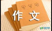 关于九年级作文500字【借鉴】