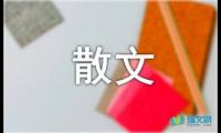 关于随笔散文：透视灯箱【借鉴】