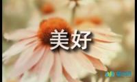 关于生活中，总有许多美好无法挽留【借鉴】