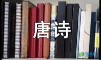 关于唐诗中的奇妙数字【借鉴】