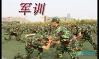 关于中学生的军训日记:military training【借鉴】