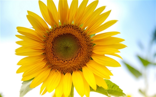 祝福老人健康长寿的祝福语