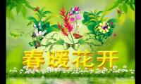 关于春暖花开早安祝福图片 春天早安祝福图片【图】