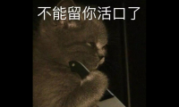 关于愚人节祝福语简短一句话【图】