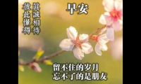 关于适合发朋友圈早安语 早朋友圈早安心语简单【图】