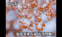 关于中老年注重健康早安问候语【图】