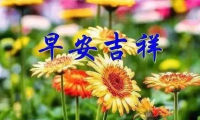 关于早安心语带图片 早安图片唯美图片【图】